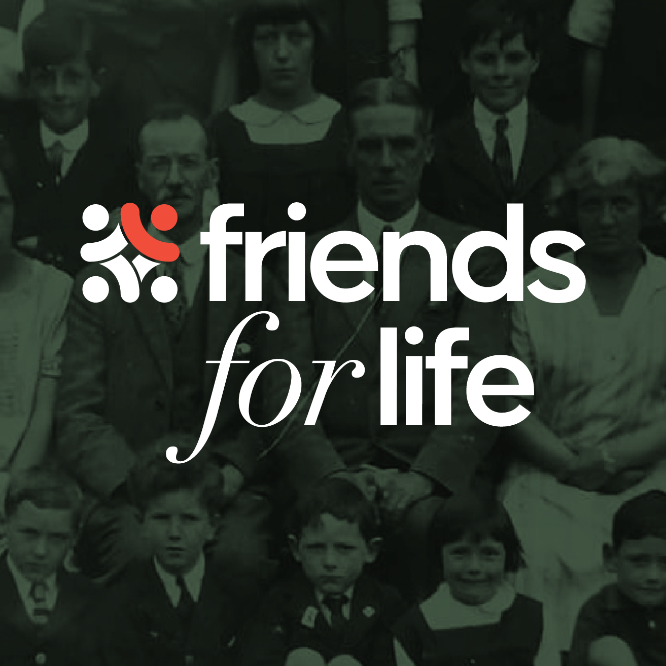 Logo Design - Friends' School Lisburn